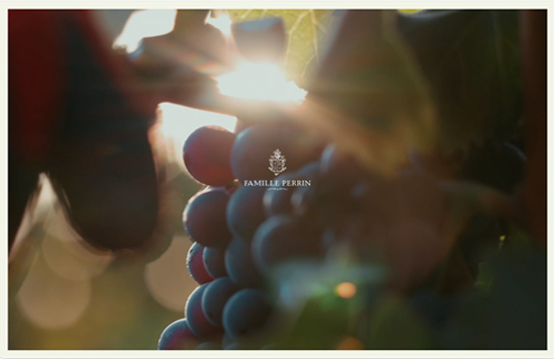Site WordPress Famille Perrin propulsé par vin.co