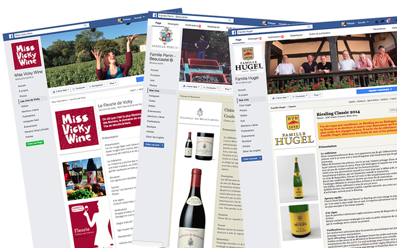 Personalización de la aplicación Social Post vin.co